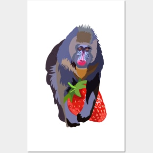 Baboon and Strawberry Posters and Art